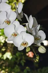 Similar image 1567370