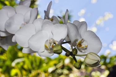 Similar image 1567372