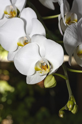 Similar image 1567373