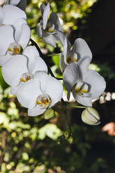 Similar image 1567374