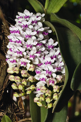 Similar image 1567375