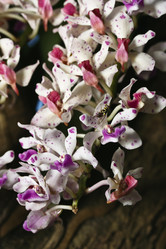 Similar image 1567379