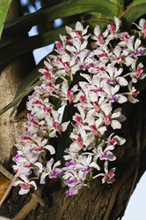 Similar image 1567385