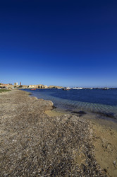 Similar image 1567407