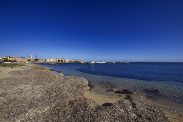 Similar image 1567408