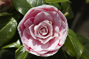 Similar image 1567428