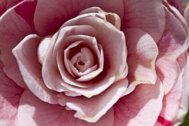 Similar image 1567430