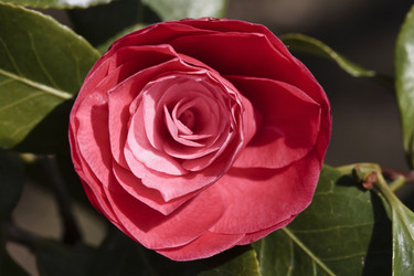 Similar image 1567432