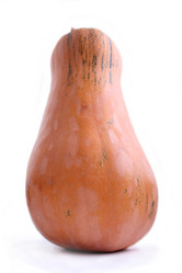 Similar image 1567436