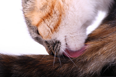 Similar image 1567440