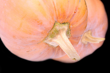 Similar image 1567456