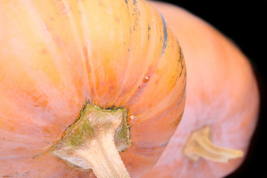 Similar image 1567457