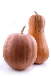 Similar image 1567458