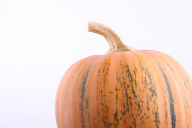 Similar image 1567459