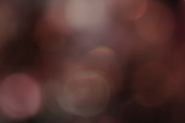 Similar image 1567461