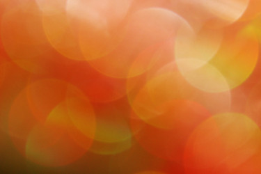 Similar image 1567462