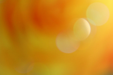 Similar image 1567465