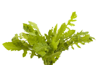 Similar image 1567484