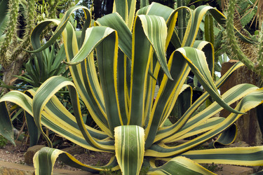 Similar image 1567498