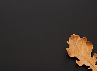 Similar image 1567509