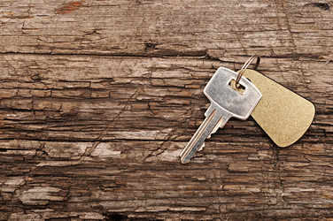 Similar image 1567510