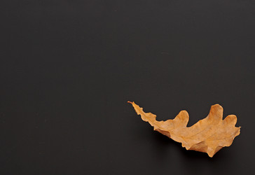 Similar image 1567514