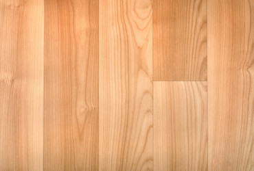 Similar image 1567519