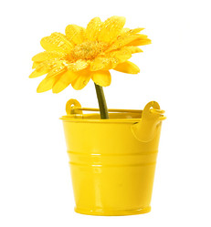 Similar image 1567522