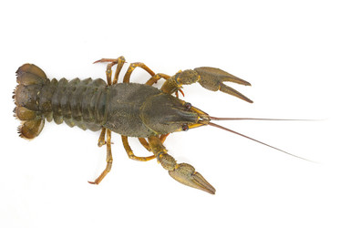 Similar image 1567523