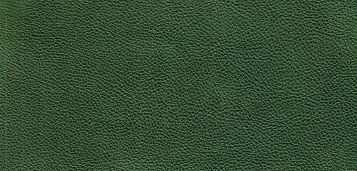 Similar image 1567526