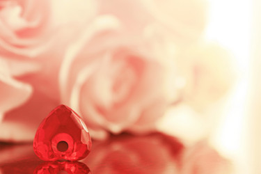 Similar image 1567531