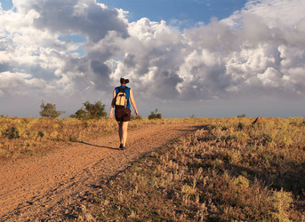 Similar image 1567534