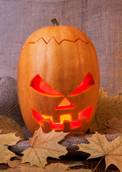 Similar image 1567550