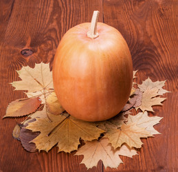 Similar image 1567552