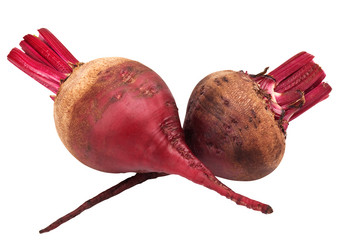 Similar image 1567553