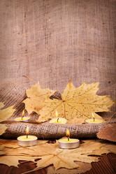 Similar image 1567554