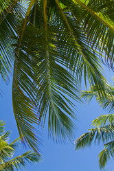 Similar image 1567619