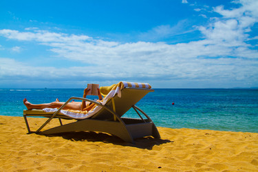 Similar image 1567620