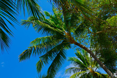 Similar image 1567621