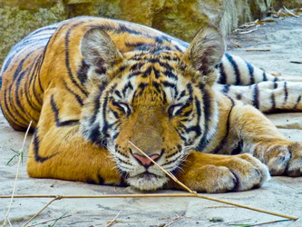 Similar image 1567626