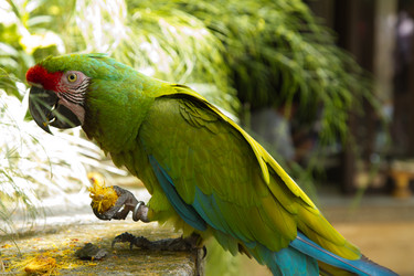 Similar image 1567627