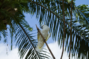 Similar image 1567628