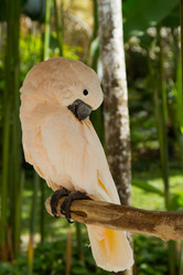 Similar image 1567629