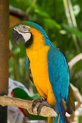 Similar image 1567630