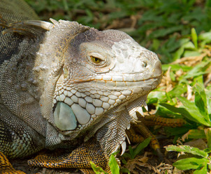 Similar image 1567632