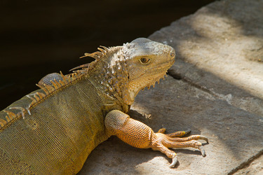 Similar image 1567633