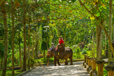 Similar image 1567634