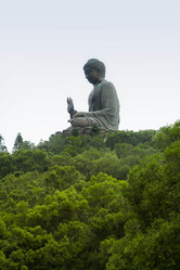 Similar image 1567646