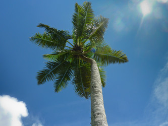 Similar image 1567649