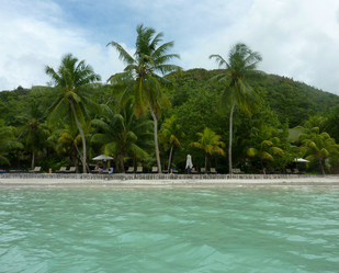 Similar image 1567653